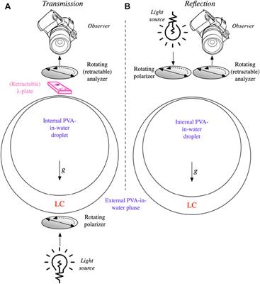 Birefringence-modulated total internal reflection in liquid crystal shells